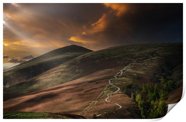 SKIDDAW VIA THE 'TOURIST ROUTE' Print by Tony Sharp LRPS CPAGB