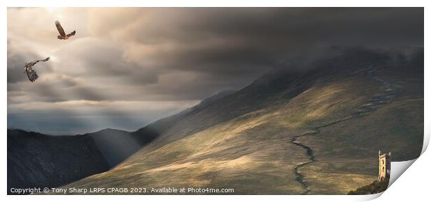 ON THE SLOPES OF BLENCATHRA Print by Tony Sharp LRPS CPAGB