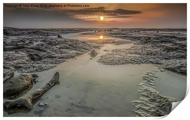  Dawn at Pett Level Print by Tony Sharp LRPS CPAGB