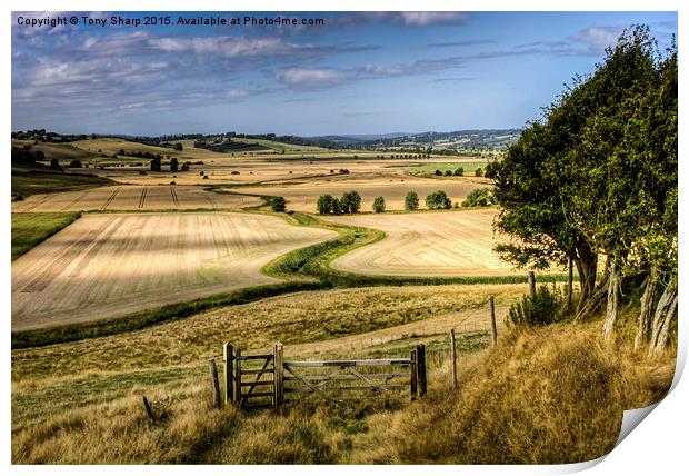  The Hanging Field Print by Tony Sharp LRPS CPAGB