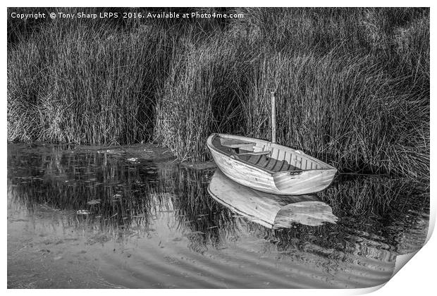 Rowing Boat Alongside Reeds Print by Tony Sharp LRPS CPAGB