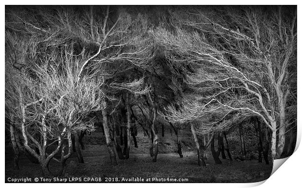 INVITATION Print by Tony Sharp LRPS CPAGB