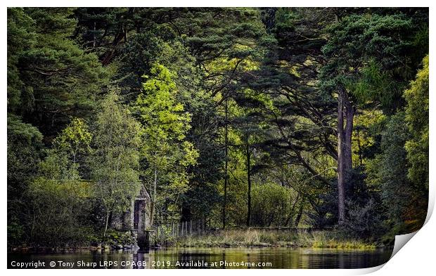 SHELTERED BOATHOUSE Print by Tony Sharp LRPS CPAGB