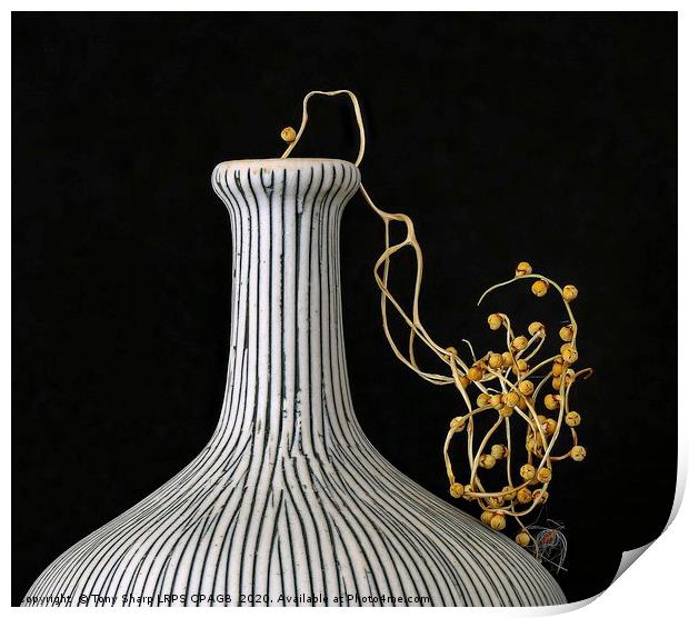 ELEGANT VASE WITH FAN PALM SEED CASES Print by Tony Sharp LRPS CPAGB