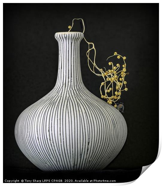 VASE WITH SEED CASES OF THE FAN PALM  Print by Tony Sharp LRPS CPAGB