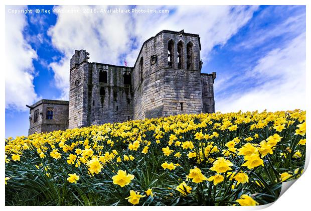 Spring at Warkworth Castle Print by Reg K Atkinson