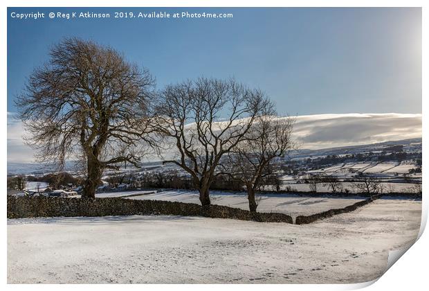 Snow Covered Yorkshire Dales Print by Reg K Atkinson