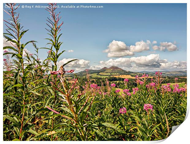 Eildon Hills Print by Reg K Atkinson