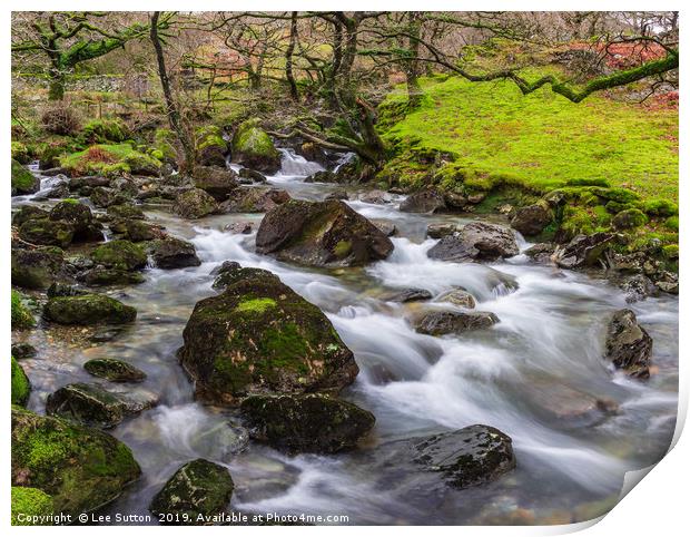 Woodland River Print by Lee Sutton