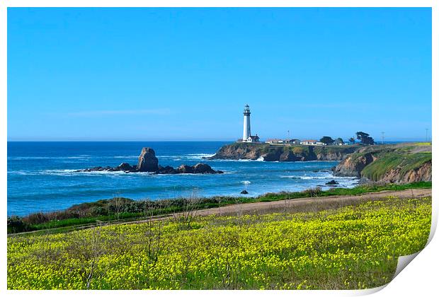   Lighthouse on the peninsula  Print by Liam Green