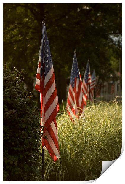  Stars and Stripes Print by Peter Isaacson