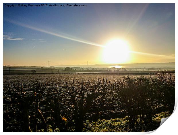   Sunrise over the Humber Print by Gary Peacock