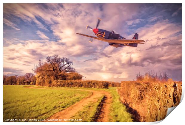 Hedge Hopping Print by Ian Merton