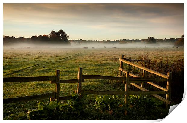  Sudbury Meadows Print by Ian Merton