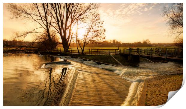 Sudbury Salmon leap Print by Ian Merton