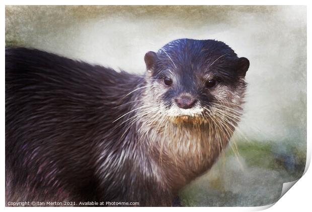 Otter Print by Ian Merton