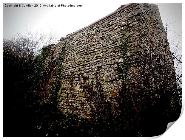   A stone outbuilding on Wenlock Edge, Shropshire Print by CJ Allen