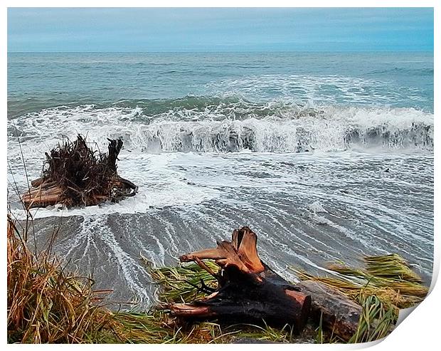  Sea Climbs into the Grass Print by dan Comeau