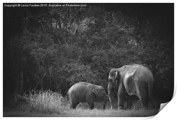 Mother and Baby Asian Elephant  Print by Lorna Faulkes