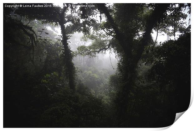 Costa Rican Jungle  Print by Lorna Faulkes