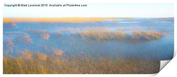  A walk on the marshes Print by Mark Lovelock