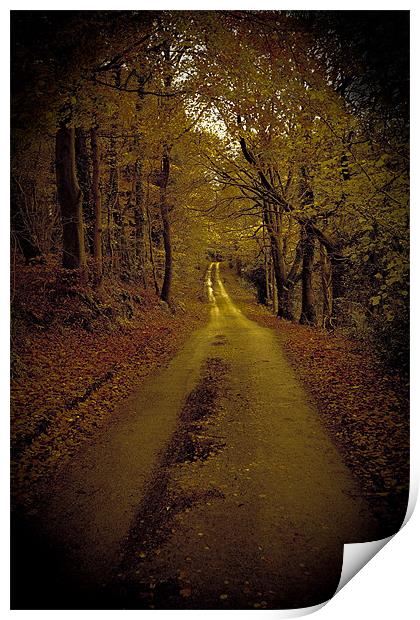 Calm road Print by S Fierros