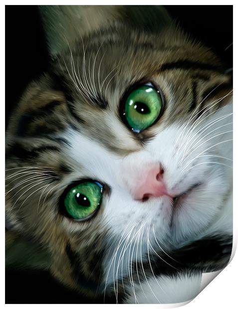 Kitten Print by Alice Gosling