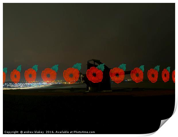 Poppies at Trow, South Shields Print by andrew blakey