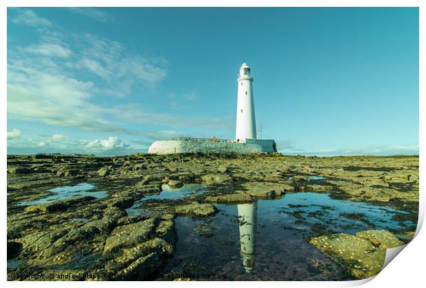 Reflecting on St Marys lighthouse Print by andrew blakey