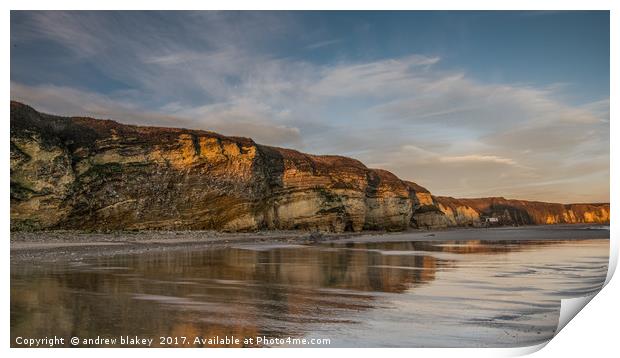 Golden Reflections at Marsden Bay Print by andrew blakey
