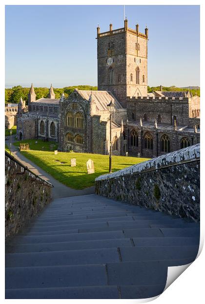 St Davids Cathedral Print by Richard Downs