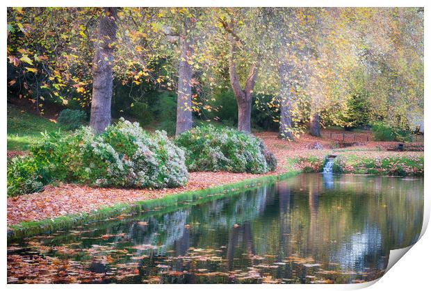 St Fagans Castle lake, Autumn Print by Richard Downs