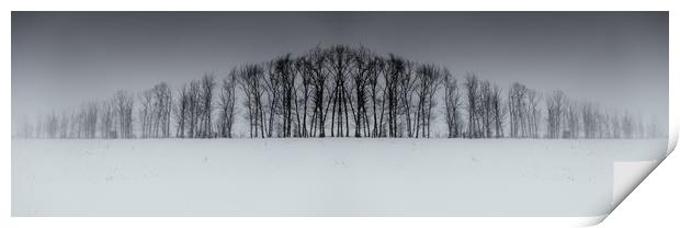 Winter Tree Symmetry Long Horizontal Print by John Williams