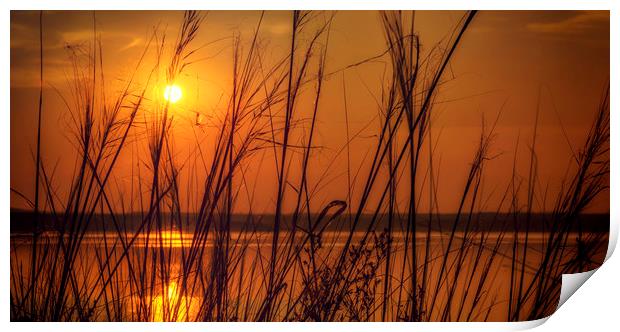 Golden Sunset at the Lake Print by John Williams