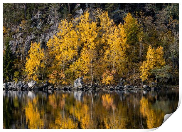 Autumn Reflections in The Lake Print by Eirik Sørstrømmen