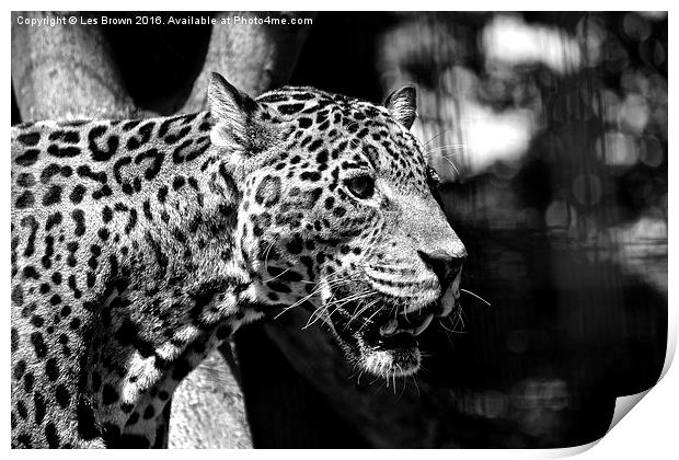  Jaguar  Print by Les Brown