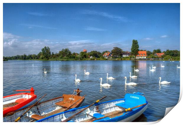 Swans and Boats, Thorpeness  Print by David Stanforth