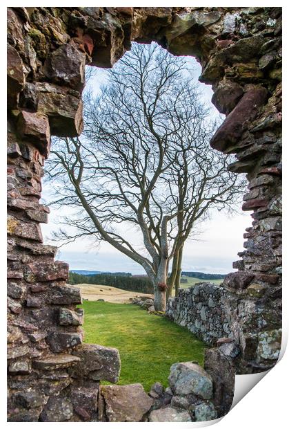 Balvaird Castle Stone Portal Print by Willie Cowie