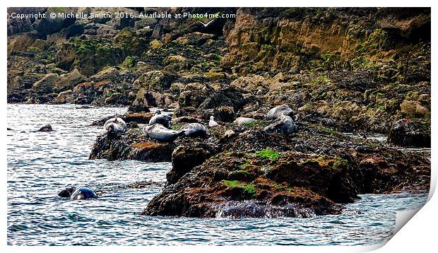 Spot the seals Print by Michelle Smith