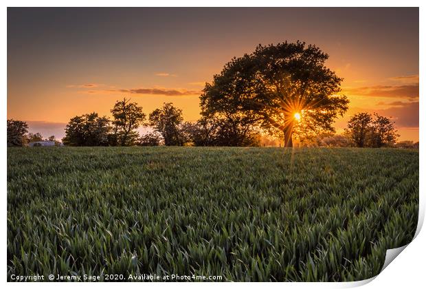 Enchanting Sunset Over Kent Print by Jeremy Sage