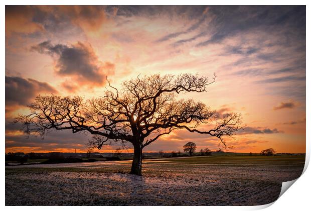 Splendid Winter Sunset Print by Jeremy Sage