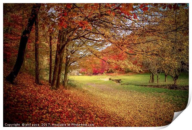 Fallen leaves Print by phil pace