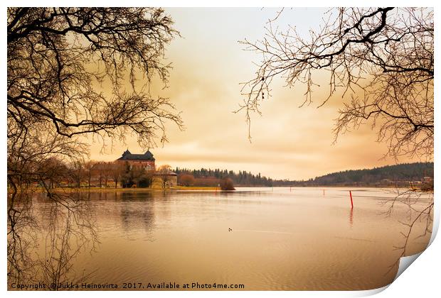 Castle, Lake and Goldeneye Print by Jukka Heinovirta