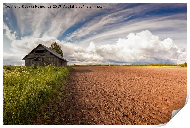 Barn By The Field Print by Jukka Heinovirta