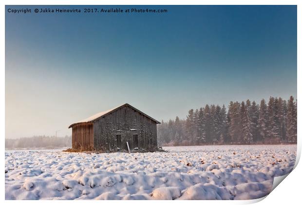 Morning Mist And An Old Barn House Print by Jukka Heinovirta