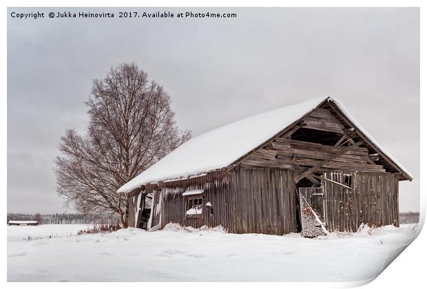 Abandoned Barn House Covered With Snow Print by Jukka Heinovirta