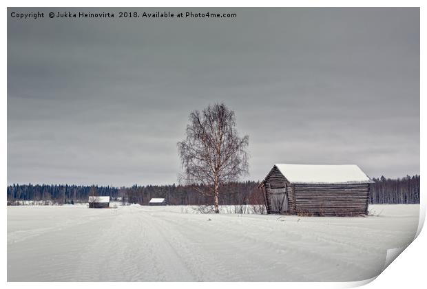 Snowy Road To The Forest Print by Jukka Heinovirta