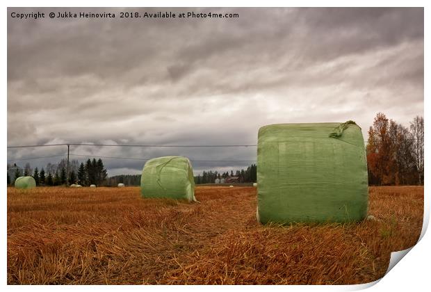 Hay Bales Wrapped In Plastic On The Autumn Fields Print by Jukka Heinovirta