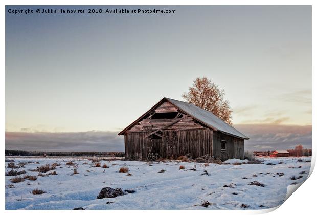 Abandoned Barn House In The Early Winter Sunset Print by Jukka Heinovirta