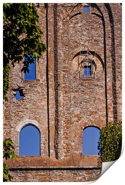 Windows Of An Old Convent Print by Jukka Heinovirta